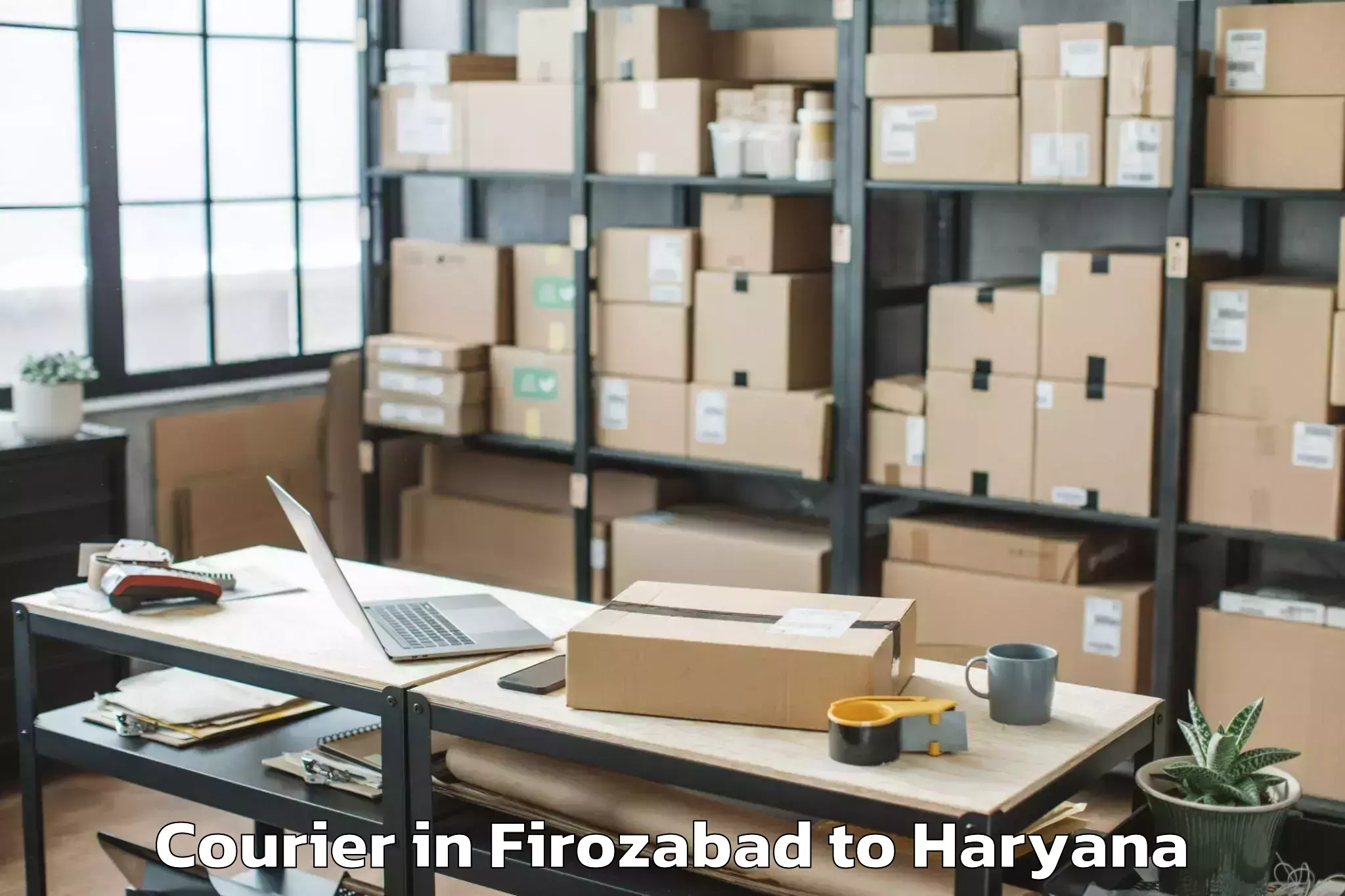 Book Firozabad to Karnal Courier Online